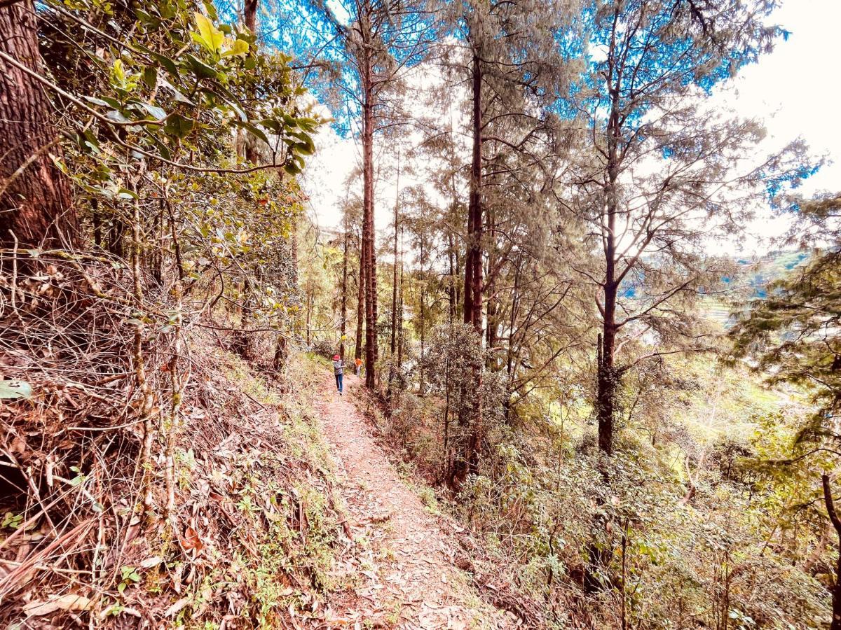 Hotel Notre Dame D'Arcadia Nuwara Eliya Esterno foto